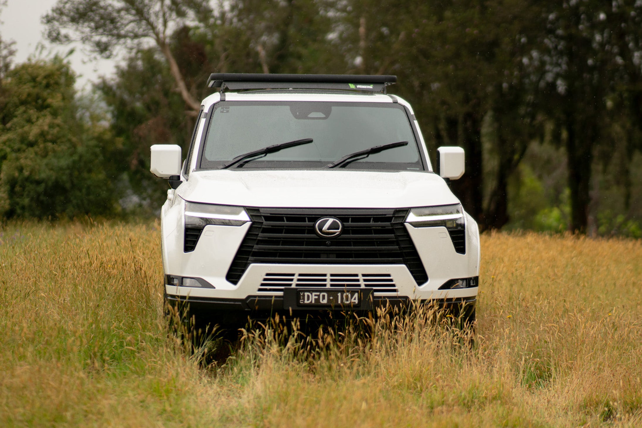 Wedgetail Adventure Platform Lexus GX550 Wagon (2024 – Current)